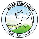 sezar animal hospital logo