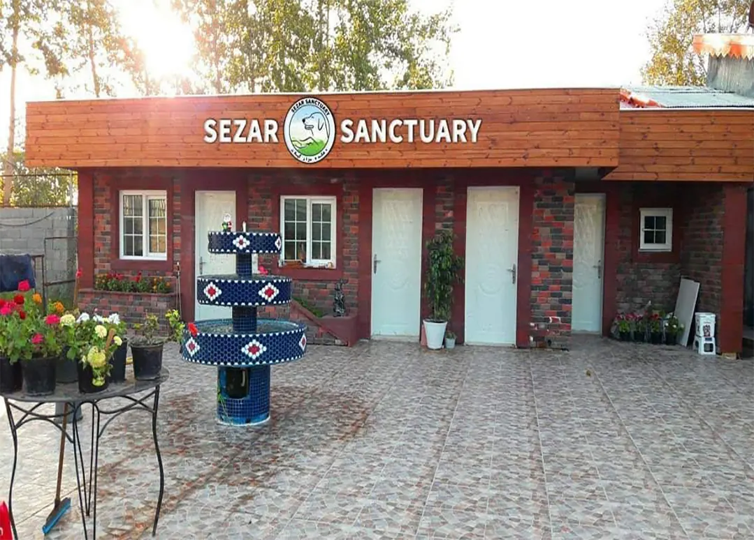 پانسیون و واحد بستری بیمارستان حیوانات سزار