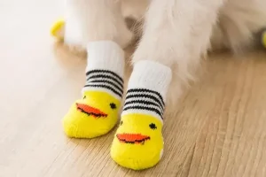 استفاده از جوراب و یا کفش مخصوص سگ و گربه
