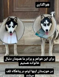 واگذاری هاسکی - خوزستان