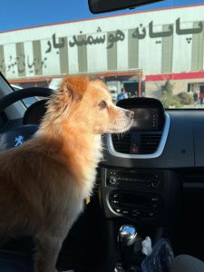 کارگو فرودگاه امام خمینی