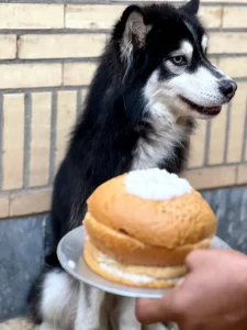 واگذاری هاسکی خوزستان بهبهان