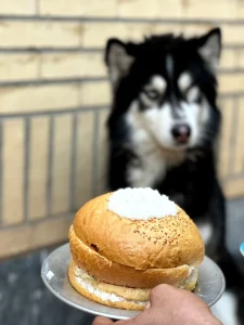 واگذاری هاسکی خوزستان بهبهان