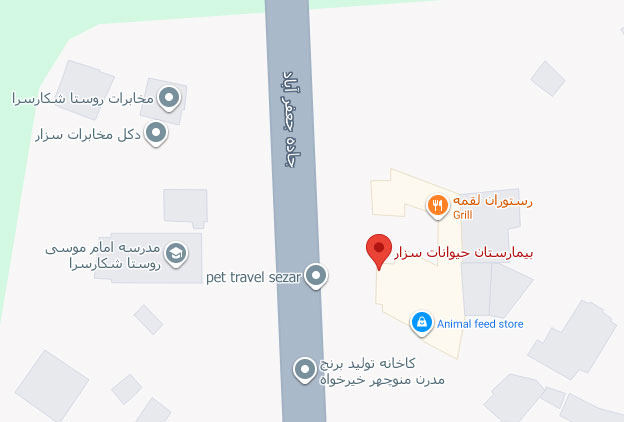 بیمارستان حیوانات سزار
