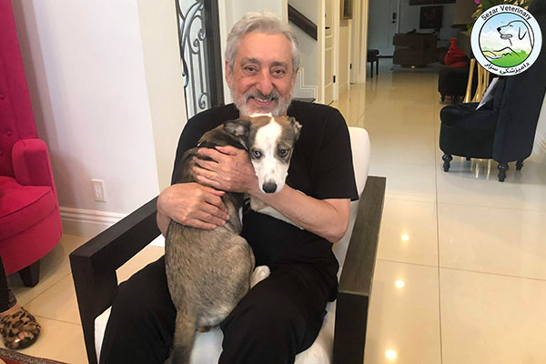 بردن سگ به آمریکا
