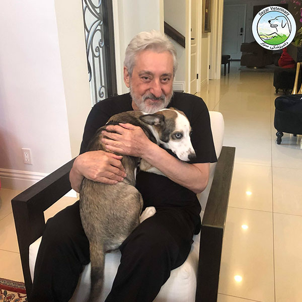 بردن سگ به آمریکا