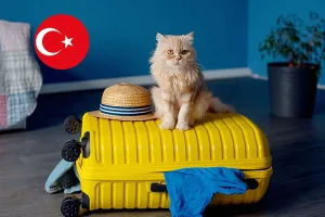 بردن گربه به ترکیه