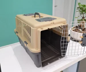 باکس 4 برای حمل سگ و گربه