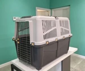 باکس 7 - برای حمل و انتقال