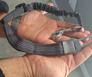 کمربند ایمنی سگ