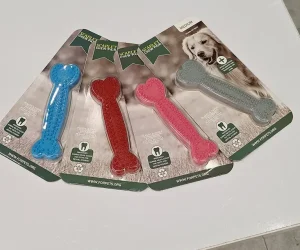 دندونی سگ مدل زئوس