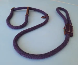 لیش سگ مدل ایتالیایی