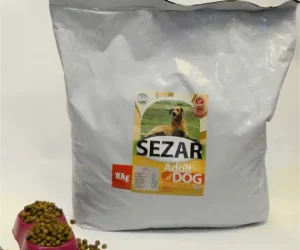 غذای مخصوص سگ بالغ سزار
