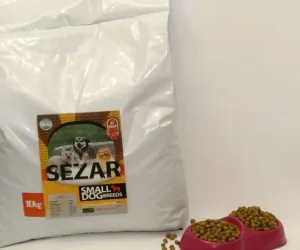 غذای مخصوص سگ های نژاد کوچک سزار